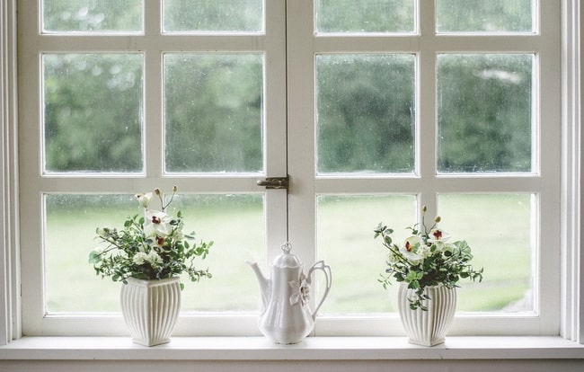 Plantas en la ventana