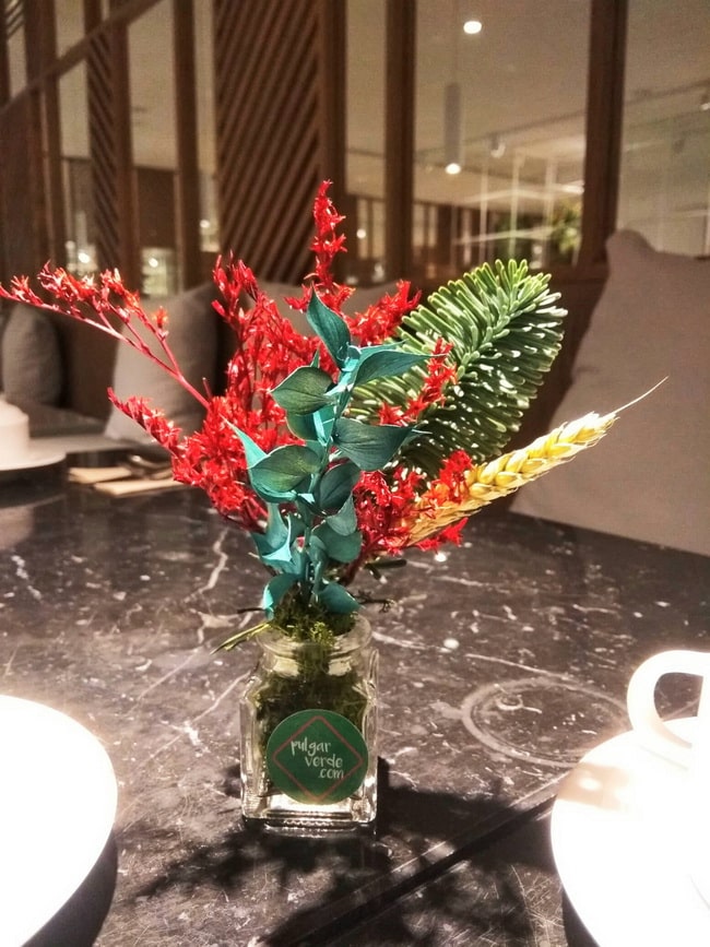 Plantas y flores para decorar tu casa en Navidad