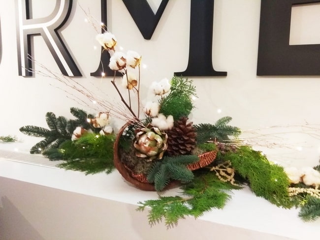 Plantas y flores para decorar tu casa en Navidad