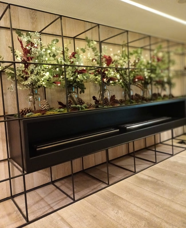 Plantas en interiores