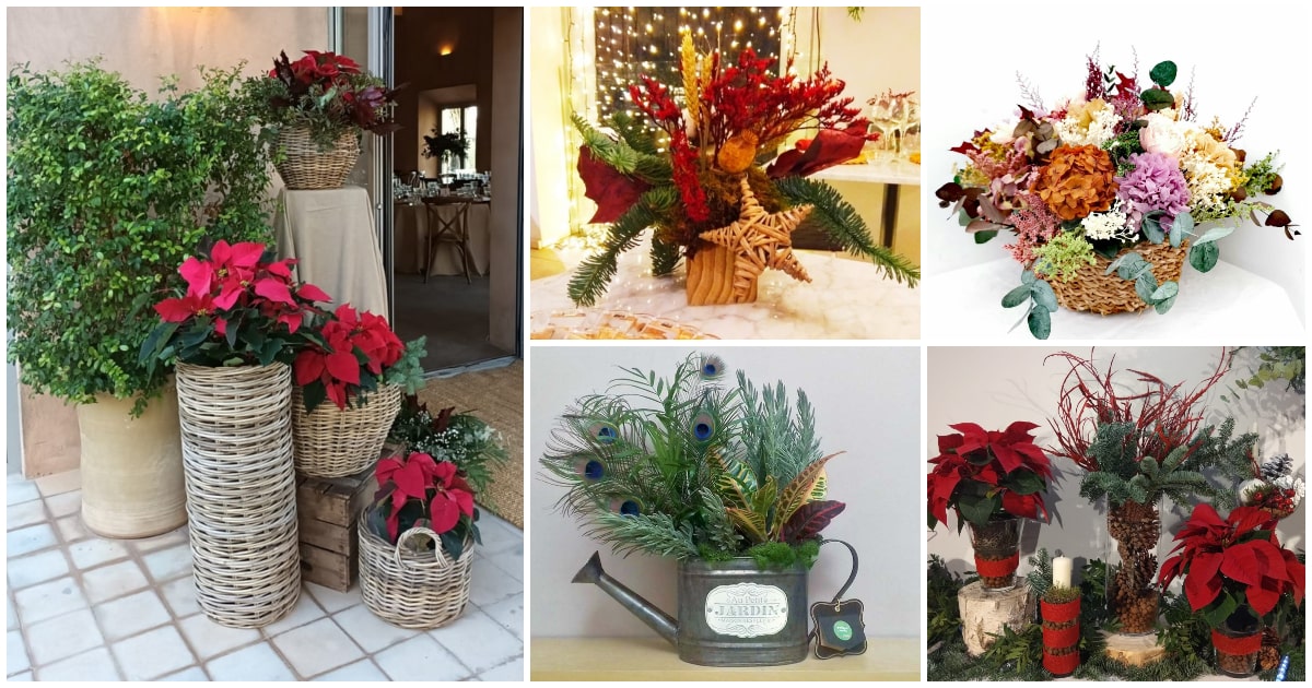 Plantas y flores para decorar tu casa en Navidad