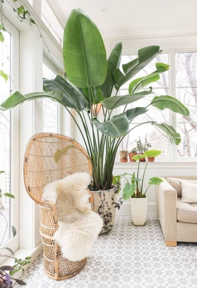 Muebles de fibras naturales