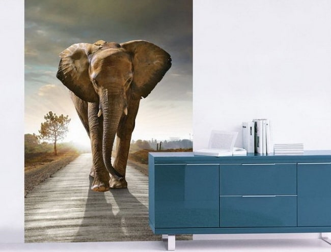 Papel pintado y papel tapiz de animales