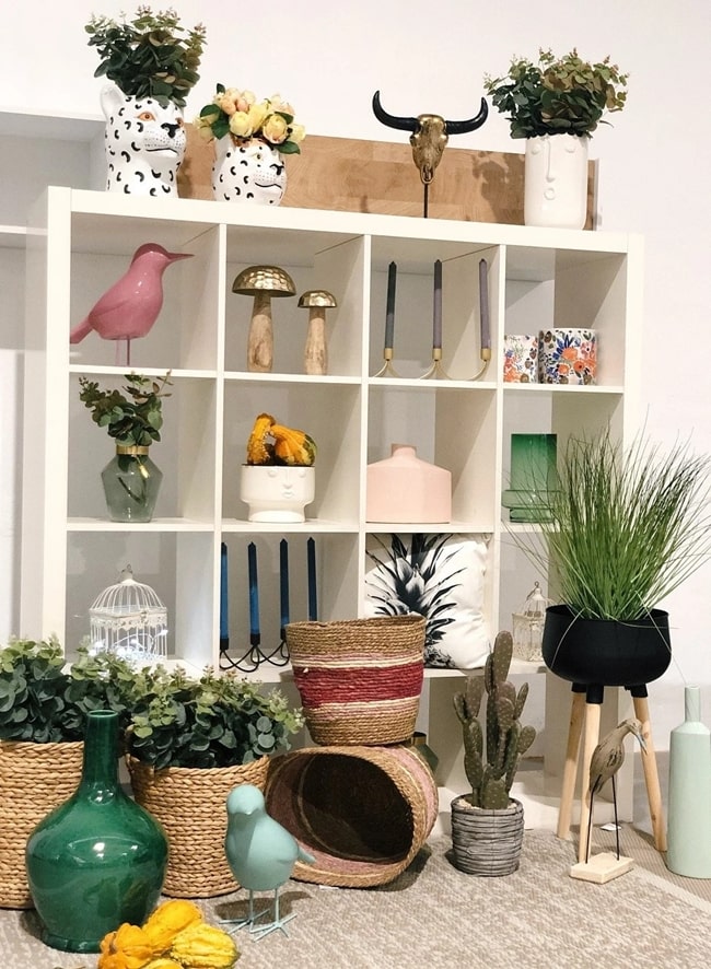 Plantas en salones