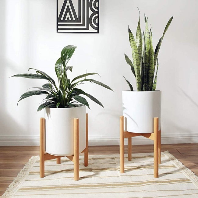 Soportes de plantas con patas