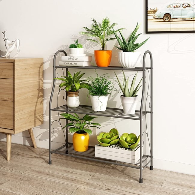 Soportes para plantas en hierro