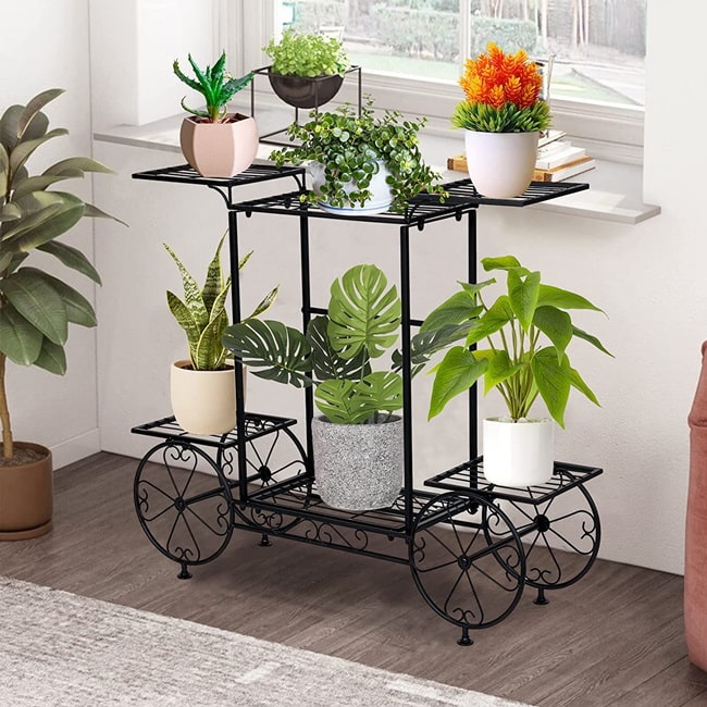Soportes de hierro para plantas