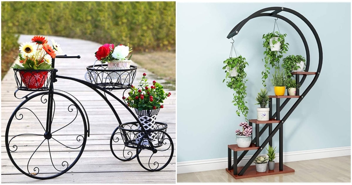 Soportes para plantas