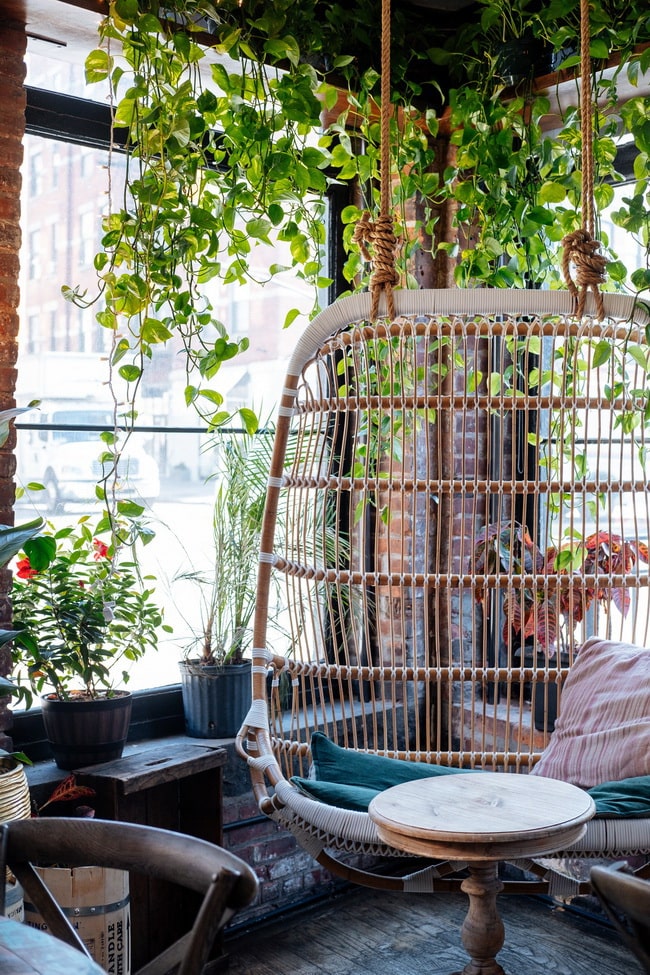 Decoración con plantas
