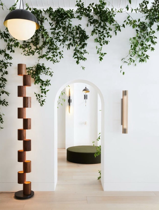Plantas en interiores