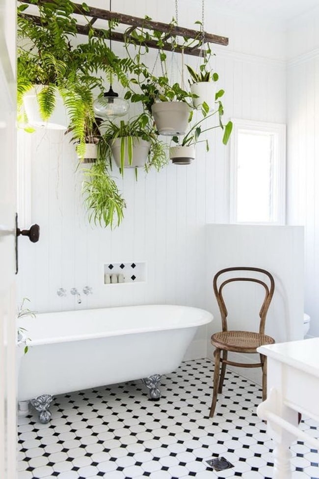 Plantas en baños