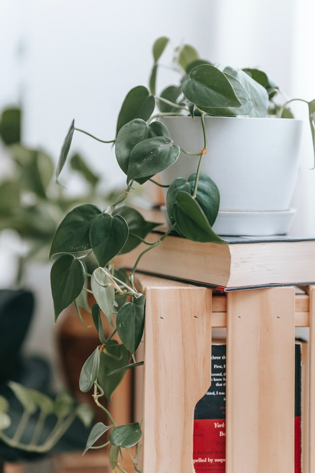 Tips para cambiar el estilo de tu casa por poco dinero