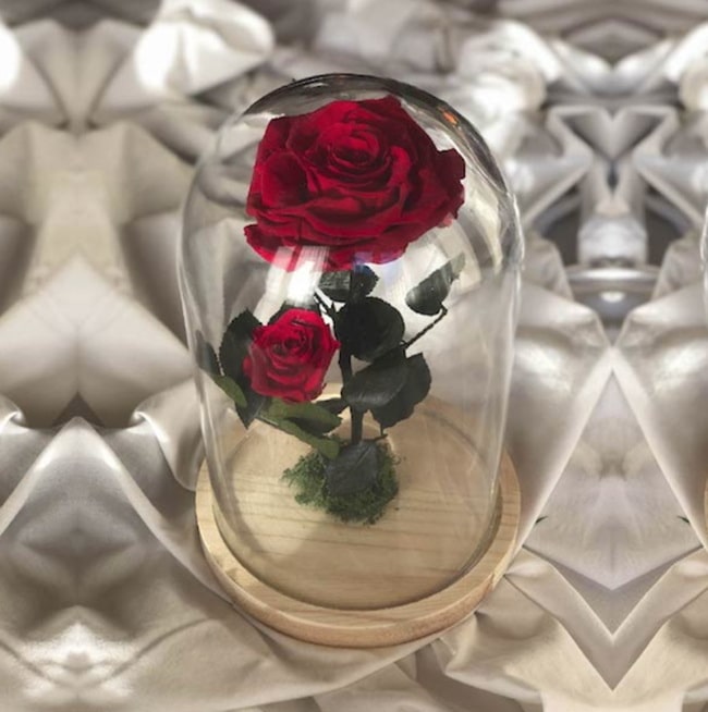 Flores para decorar la casa