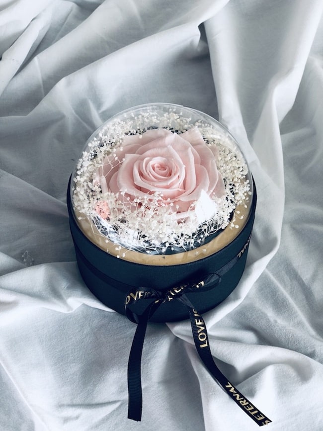 Rosas para regalar