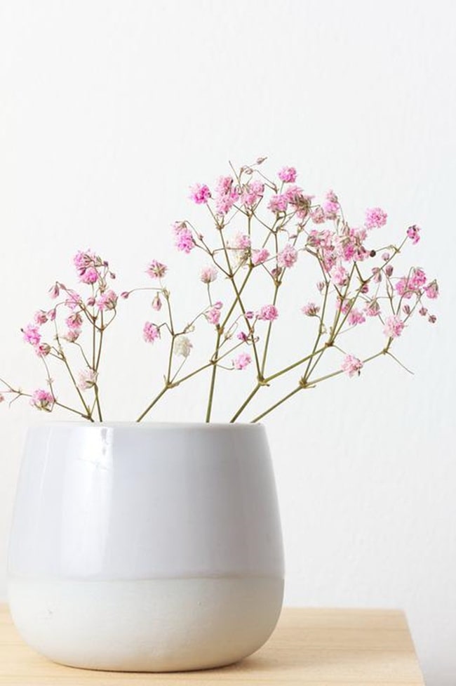 Decoración primaveral