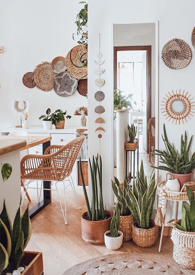 Plantas y fibras naturales
