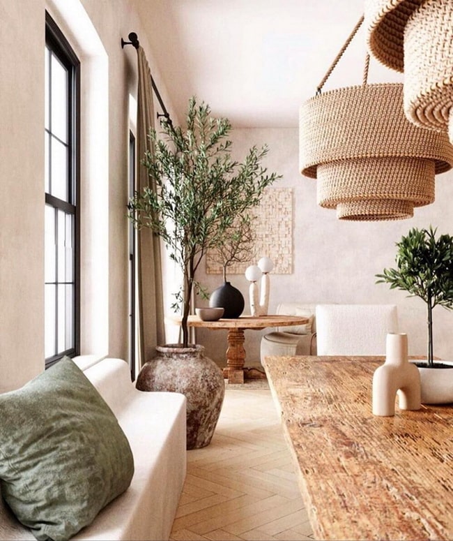 Decoración con plantas