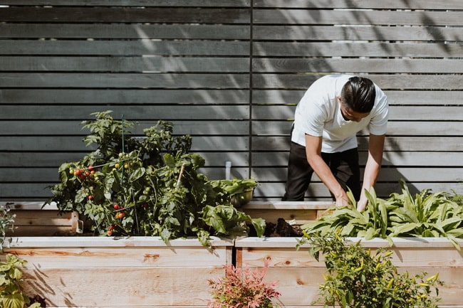 Jardinería