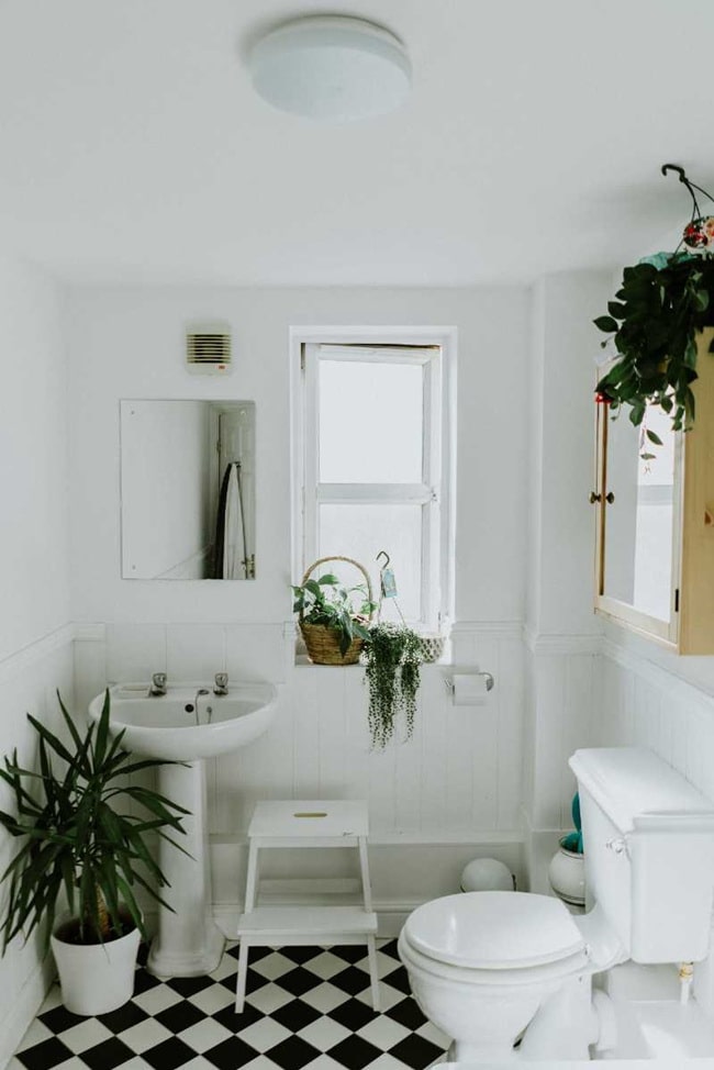 Baños con plantas