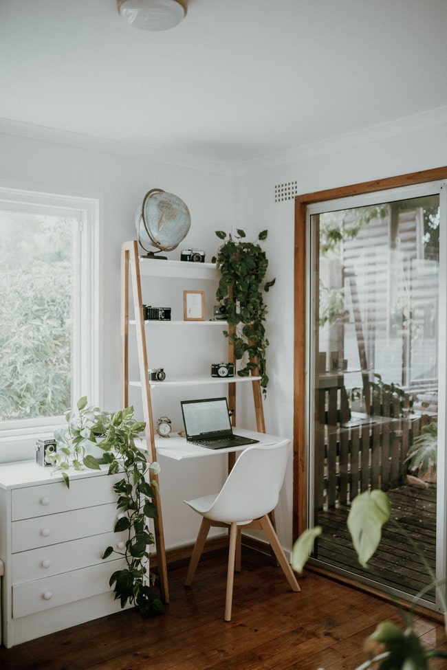 Plantas de interior