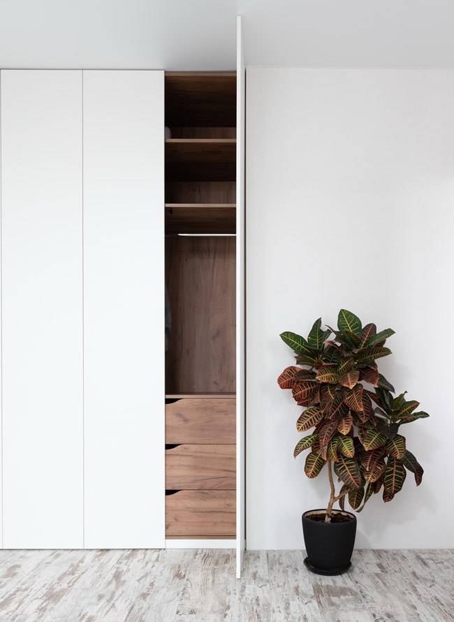 Ideas para decorar con plantas
