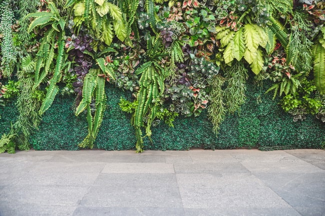Pared verde