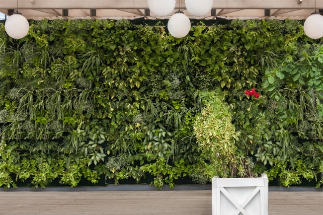 Ventajas de los jardines verticales artificiales