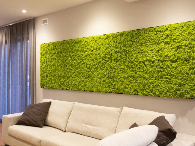 Jardín vertical en el salón