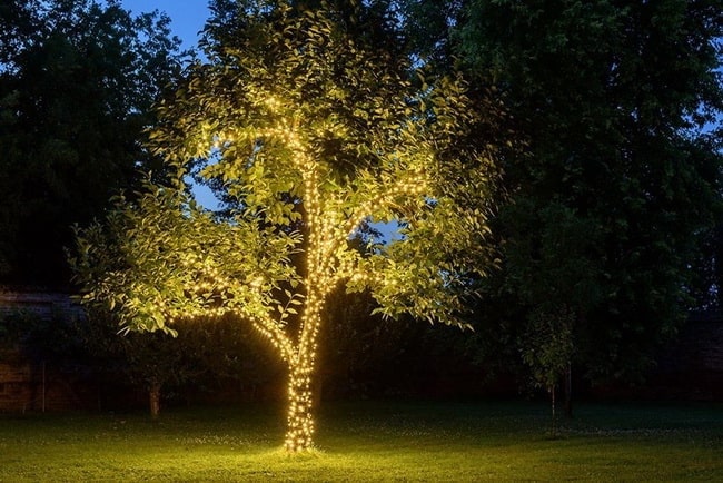 Árboles decorados con luces LED