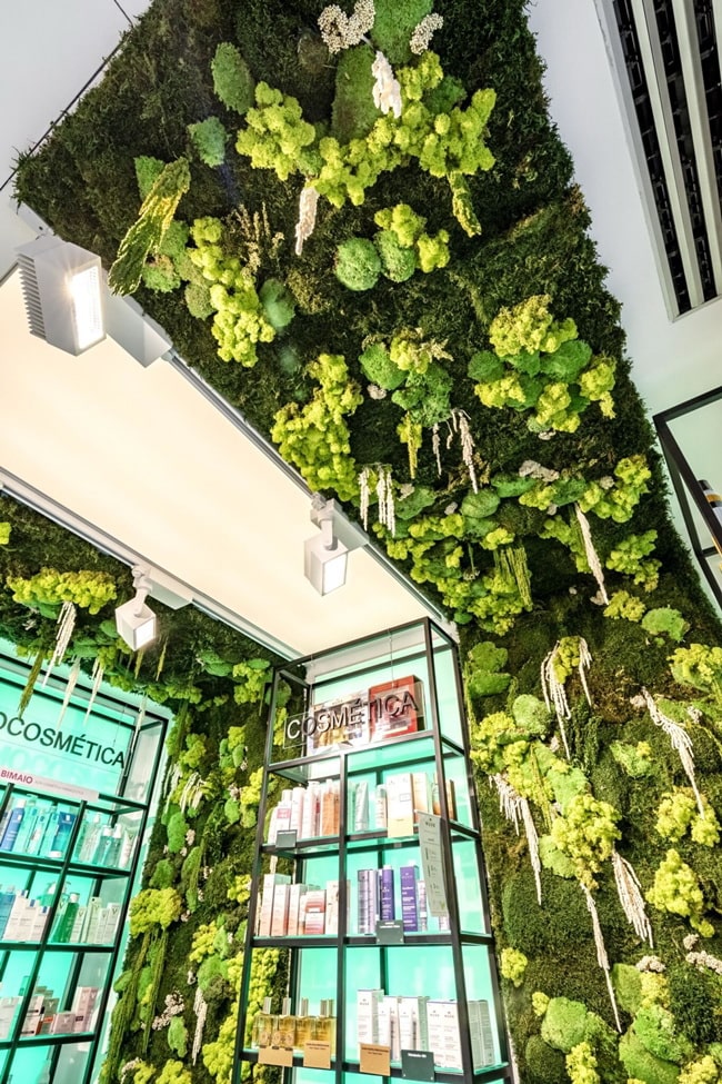 Decoración vegetal en locales comerciales