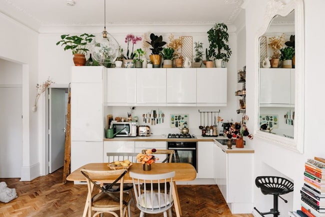 Plantas en la parte de arriba de los muebles de cocina