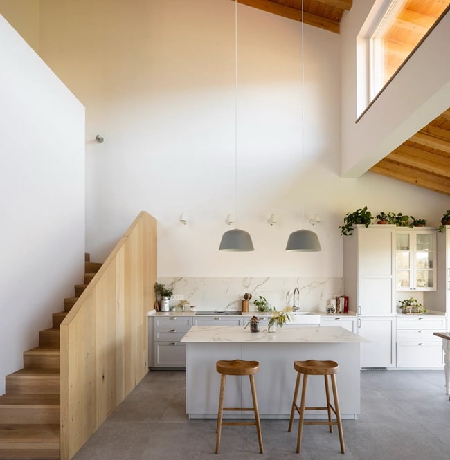 Ideas para decorar la cocina con plantas
