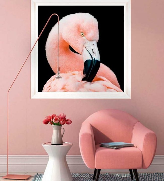 Rosa empolvado para conseguir una decoración antiestrés