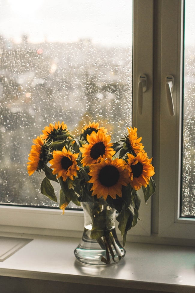 Ventanas de PVC