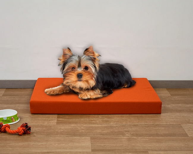 Cama para perro DIY
