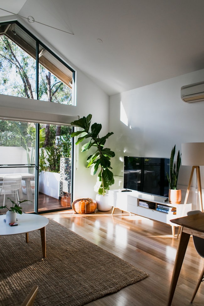 Plantas en el salón