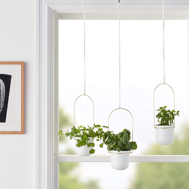 Maceteros colgantes para decorar tu hogar