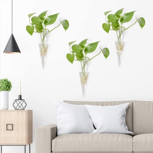 Macetas de vidrio para pared