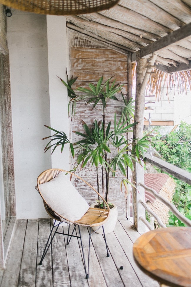 Decoración natural