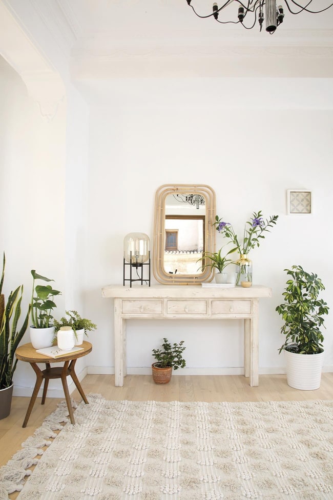 Recibidores con plantas y flores