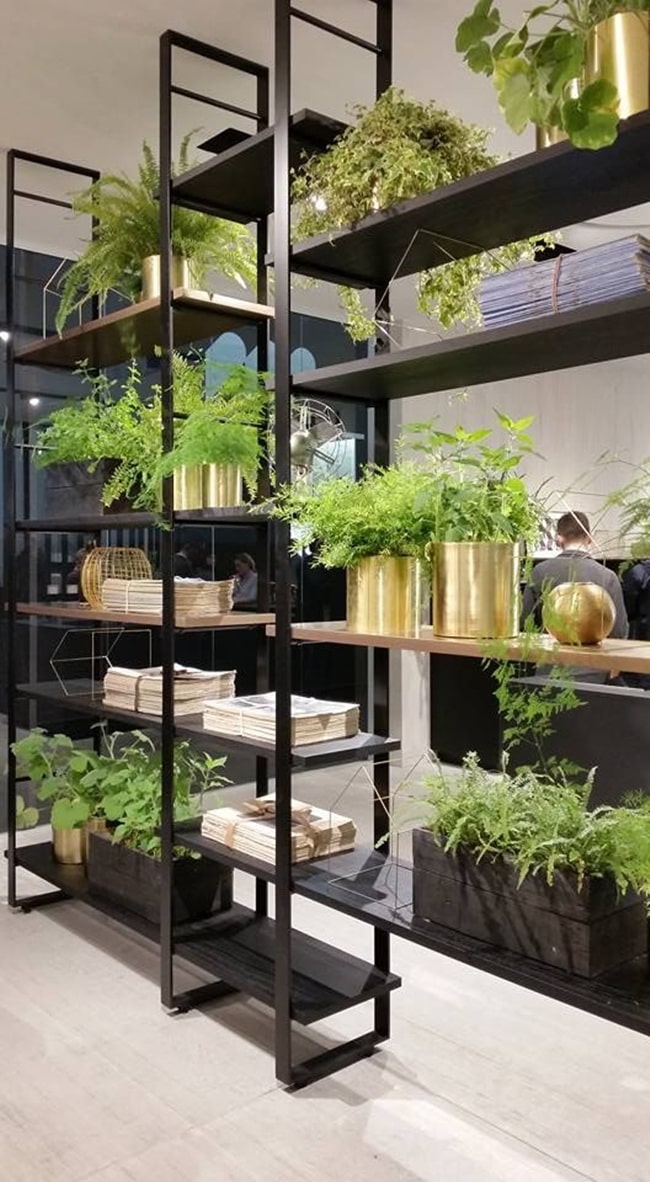 Plantas como divisorias entre ambientes