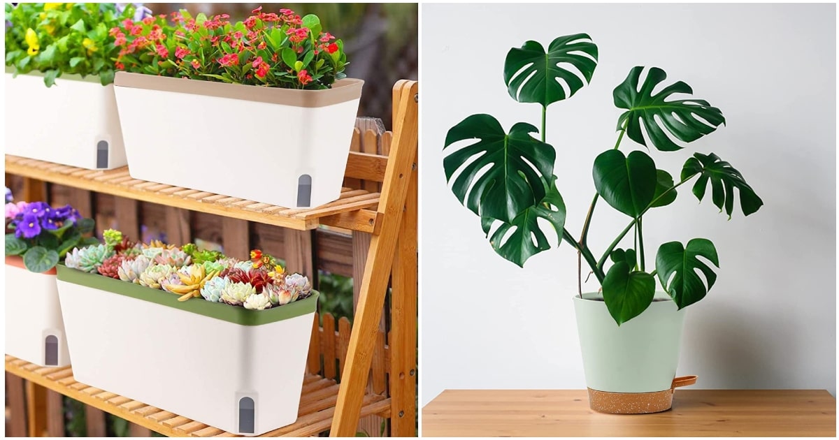 Las 5 mejores macetas de autorriego para tus plantas