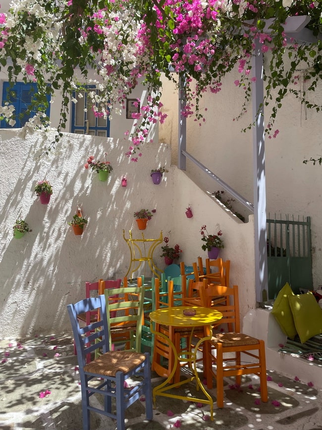 Plantas de exterior que necesitan poca agua