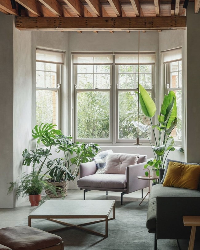 Tendencia Forestcore