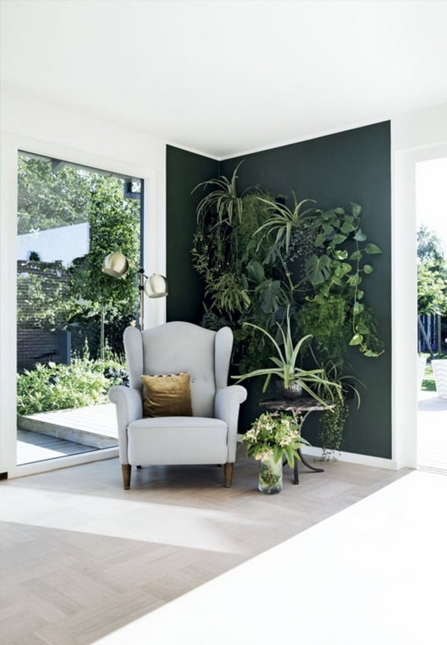 Decoración interior con plantas