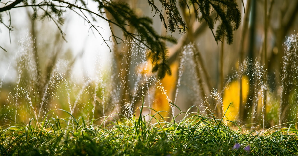 Consejos para un riego eficiente en el jardín