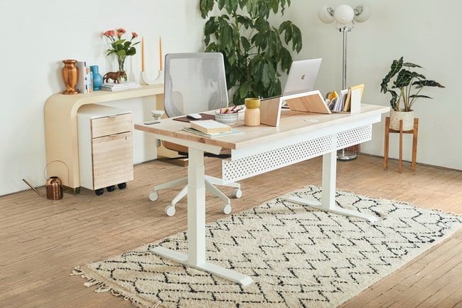 Plantas para decorar espacios de trabajo en casa