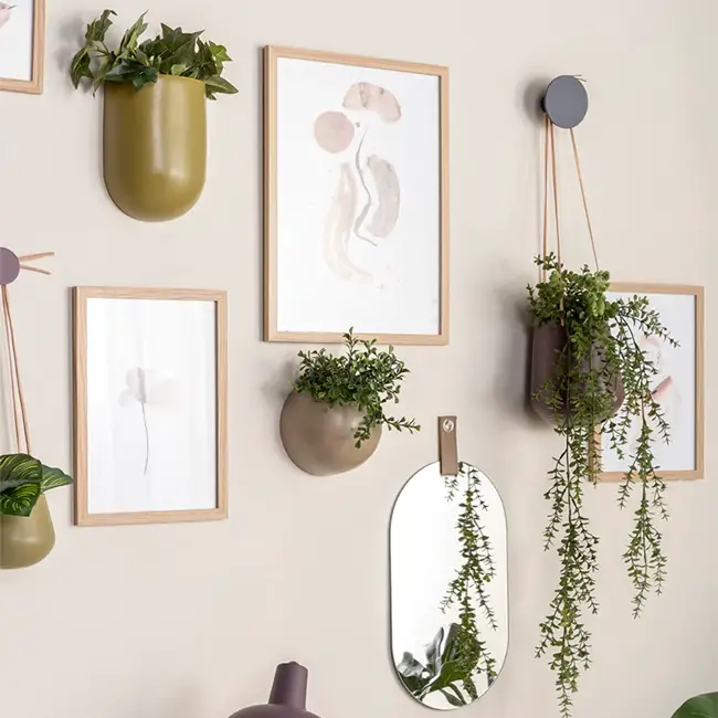 Maceteros de pared