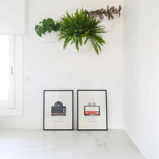 Plantas en paredes