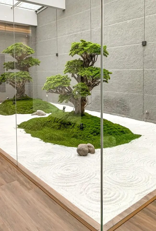Bonsai en jardín zen